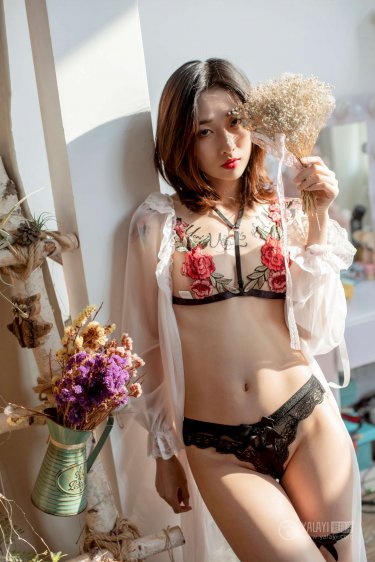 新包青天之开封奇案